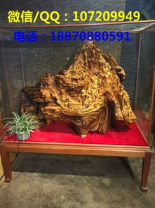 供應(yīng)崖柏擺件 崖柏根雕鑒別 黃金樟根雕制作