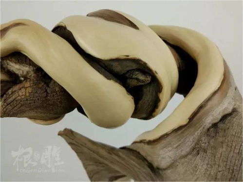 精品崖柏扭轉(zhuǎn)雙色料作品欣賞