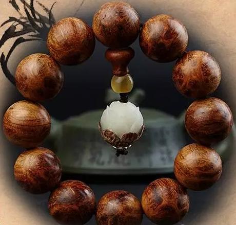 別疏忽大意了 崖柏各品類需要這樣保養(yǎng)