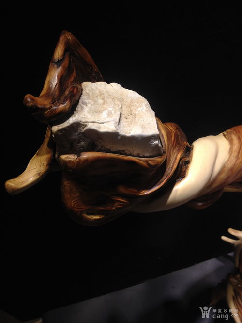 太行山崖柏擺件 雙料隨型抱石