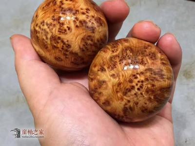 精品崖柏滿瘤疤保健球 四川涼山陳化料底色亮油性好