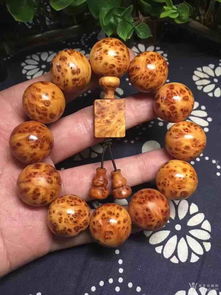 太行崖柏滿瘤精品 雕刻精湛的自然奇觀