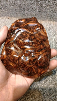 崖柏的珍貴性 揭示6種只有專業玩家才能欣賞的崖柏