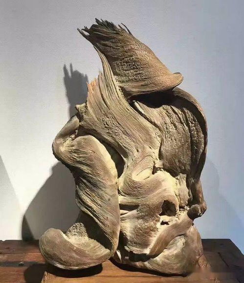 總價值幾十個億，這才是中國太行精品崖柏的魅力所在