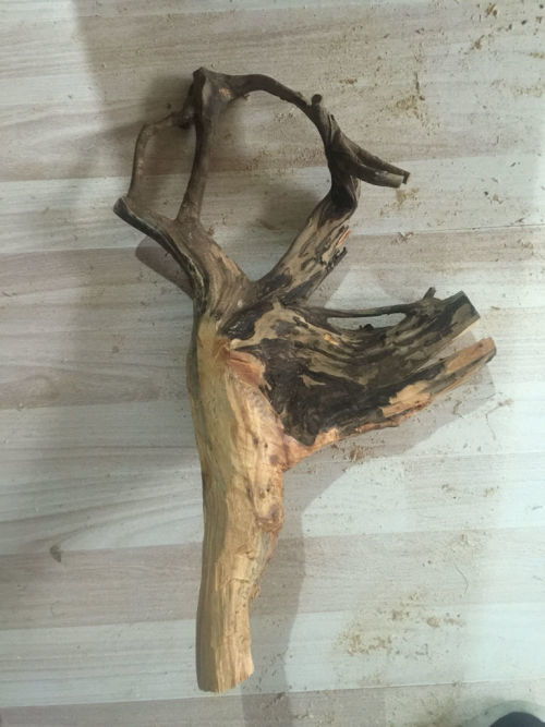 崖柏樹根的藝術重生 從廢棄到珍藏的處理之道